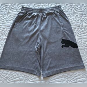 Puma Shorts - Boys Size L (14-16)